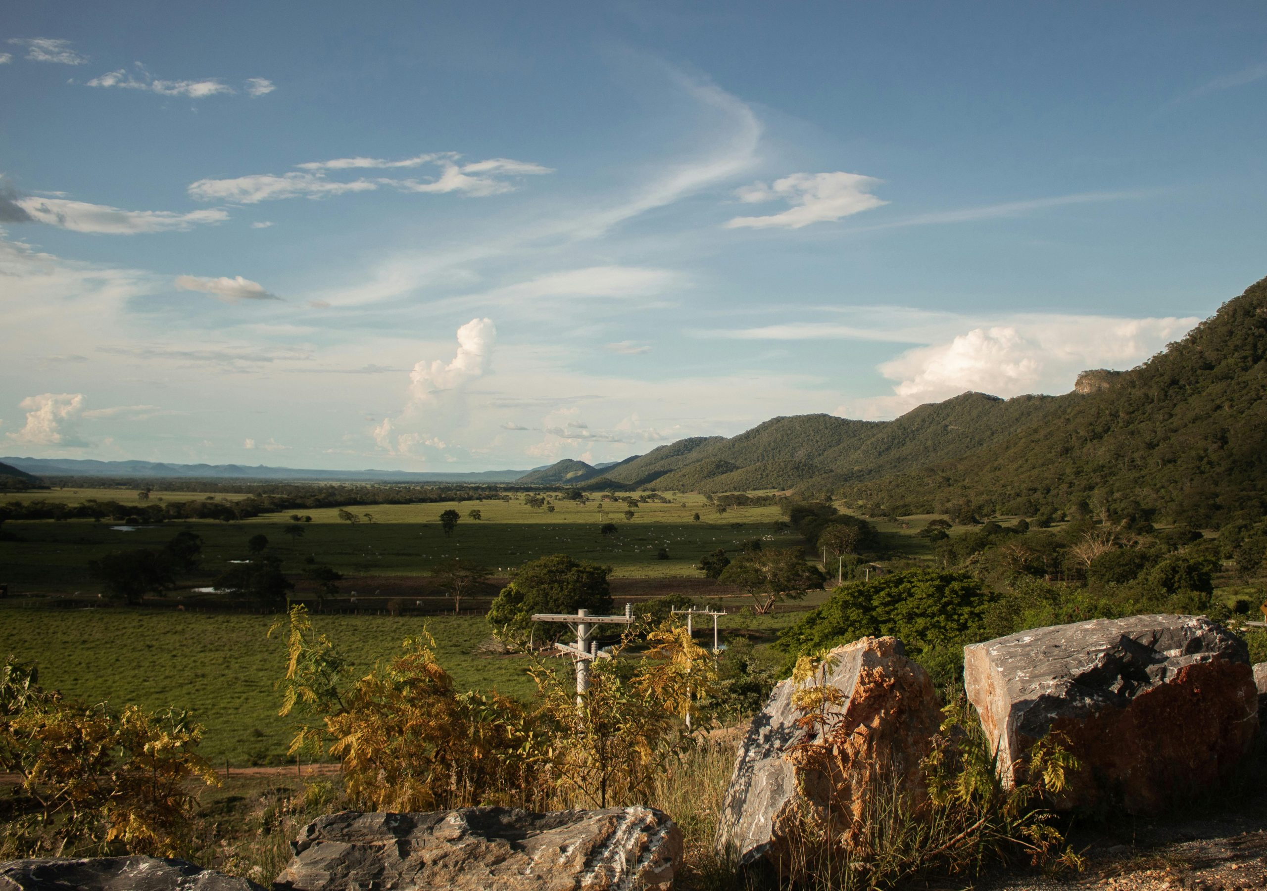 Exploring the Potential of Undeveloped Land Investments